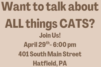 Cat Conversation Meeting